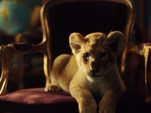 Heti filmbemutató: King - Egy kis oroszlán nagy kalandja