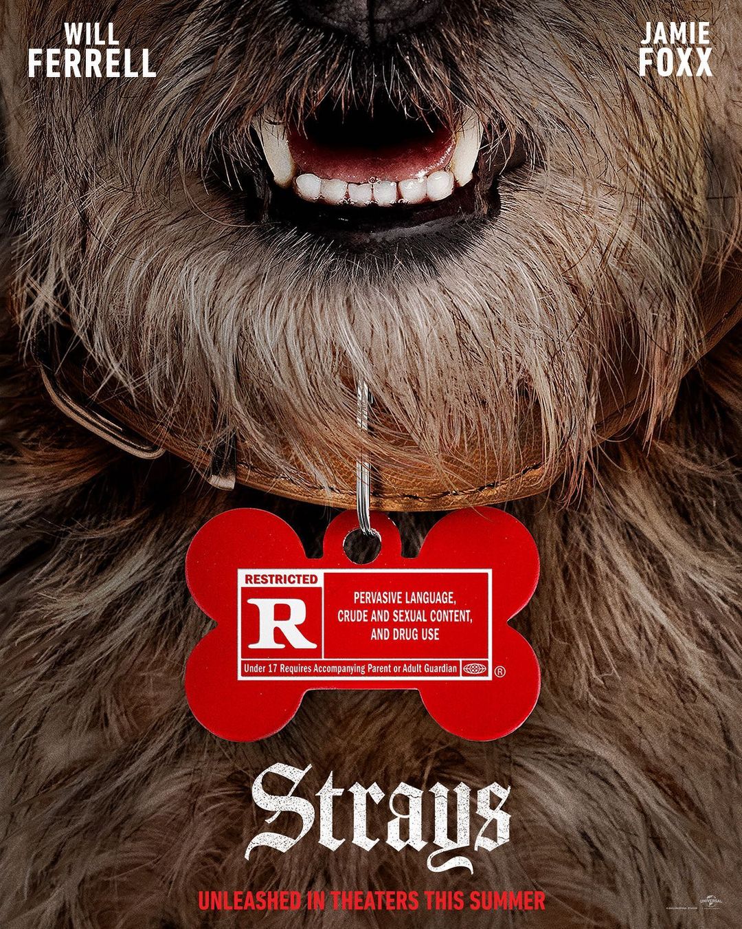 Will Ferrell, Jamie Foxx és Isla Fisher adják a kutyaszereplők hangjait a 'Strays' című élőszereplős vígjátékban